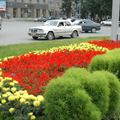 Зеленые зоны Новосибирска будут приумножены