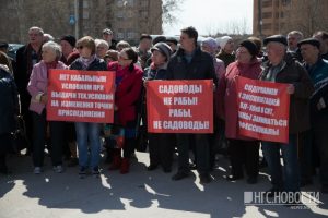 Из-за проблем с электричеством на митинг вышла сотня новосибирских дачников