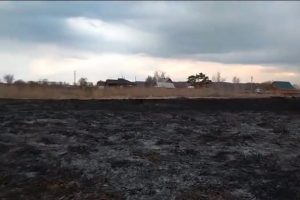 Житель Новосибирской области‍ поджег траву и чуть не сжег дома