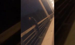 Спасатели сняли новосибирца с Бугринского моста
