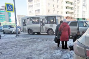 Аволеди на Toyota на зебре в Новосибирске‍ сбила ребенка