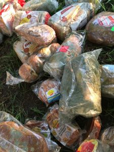 В Новосибирске жители «Родников» обнаружили под деревом свалку хлеба и булочек