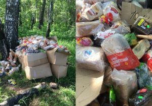 В Новосибирске жители «Родников» обнаружили под деревом свалку хлеба и булочек