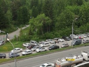Житель Новосибирска незаконно брал деньги за парковку у Дендропарка‍