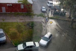 Буря в Новосибирске: ветер повалил деревья на машины