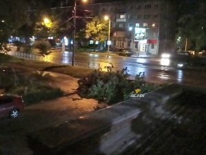 Ночная буря в Новосибирске повалила деревья и оставила людей без света