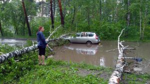 Жители Новосибирска выкладывают в соцсети фото последствий грозы