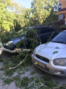 Ночная буря в Новосибирске повалила деревья и оставила людей без света