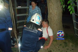 Спасатели МАСС сняли мужчину и котёнка с дерева в Новосибирске‍