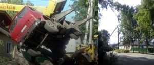 Крановщик из Болотного «уронил» дерево на здание‍