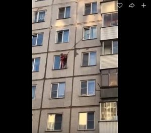 Девушка из Новосибирска спасла застрявшего на шестом этаже котенка‍