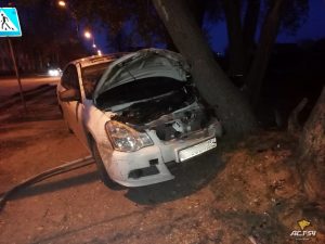 В Новосибирске таксист врезался в дерево‍ и дорожный знак