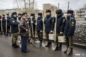 100 рябин посадили в Новосибирске ко дню 100-летия ВЛКСМ