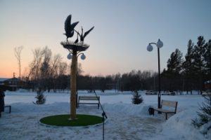 Бердск: браконьеры срубили елочку возле роддома