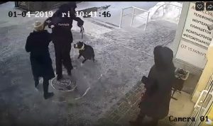 Новосибирск: на хозяев собаки завели дело после ссоры с полицейским