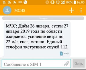 МЧС Новосибирска предупредили о непогоде и сильном ветре