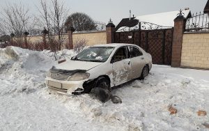 ДТП в Бердске: автомобиль насмерть сбил собаку и перевернулся