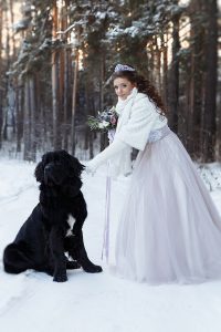 Новосибирские молодожены устроили фотосессию с огромной собакой