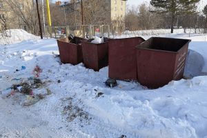 Житель Пашино пожаловался на мусор, который валится из переполненных контейнеров