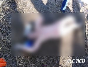 Полиция нашла во льду на озере Спартак тело погибшей женщины