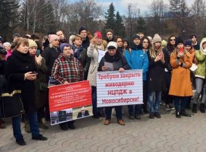 Зоозащитники устроили митинг в центре Новосибирска