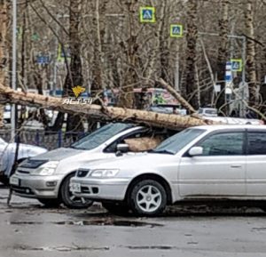Ураган в Новосибирске: ветер сорвал крыши и повалил остановку