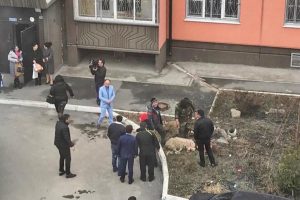 Новосибирцы зарезали баранов во дворе жилого дома