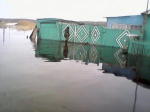 В Новосибирской области затопило деревни Пихтовка и Старый Карапуз