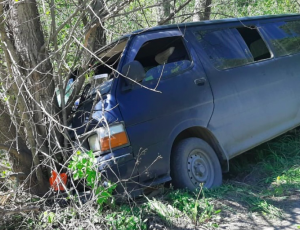 Водитель из Новосибирска погиб после ДТП с деревом
