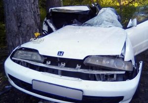 Разбился насмерть о дерево водитель Honda Integra под Новосибирском