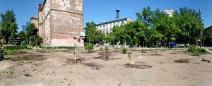 На скандальной стройке бизнес-центра на Советской высадили 30 деревьев