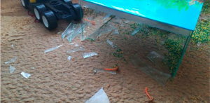 В частном детском саду Новосибирска на ребёнка упал аквариум