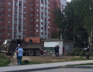 В Бердске срубили березы под торговый павильон в роще у ТЦ «Гермес»