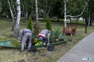 Рабочие убрали цветы с цветочных скульптур на Михайловской набережной