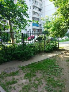 Похоронный венок на "Рено" положили в центре Новосибирска