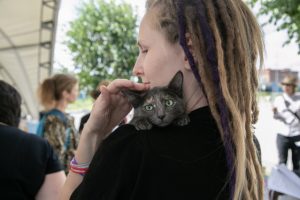 «День хвоста» - новосибирцы разобрали бездомных кошек и собак