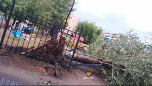 Ураган снес крыши в Новосибирской области