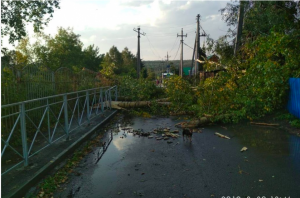 В Новосибирском районе сильный ветер сорвал крыши и повалил деревья