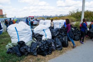 Возле пляжа «Наутилус» новосибирцы собрали почти 400 мешков мусора