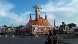 В Новосибирске протестуют против жестокого обращения с животными в цирке