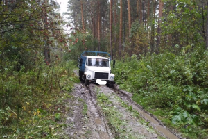 Две машины с грибниками застряли в грязи под Новосибирском