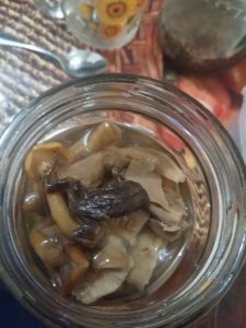 Новосибирец купил банку грибов с лягушкой внутри