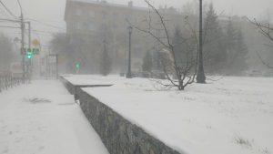 Снегопад заблокировал трассы в Новосибирской области