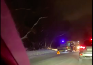 Лобовое ДТП на 1-м Мочищенском шоссе: пострадавших увезли в больницу