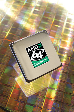 AMD начала продажи новых процессоров Shanghai
