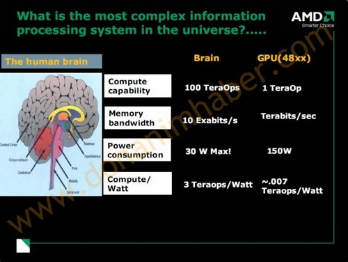 Это интересно: человеческий мозг vs RV770