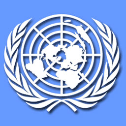 ООН обвинили в покушении на свободу слова в Интернете