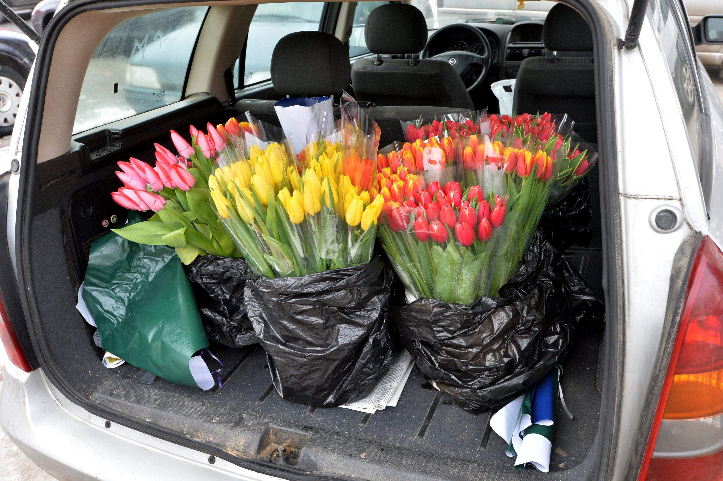 Торговля тюльпанами с машины