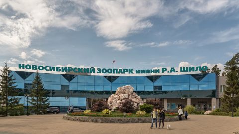 Малые павильоны зоопарка в Новосибирске закрыты для посещения
