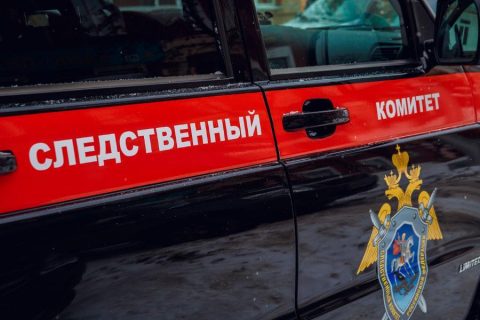 Данные о массовых гуляниях в Новосибирске будут проверены
